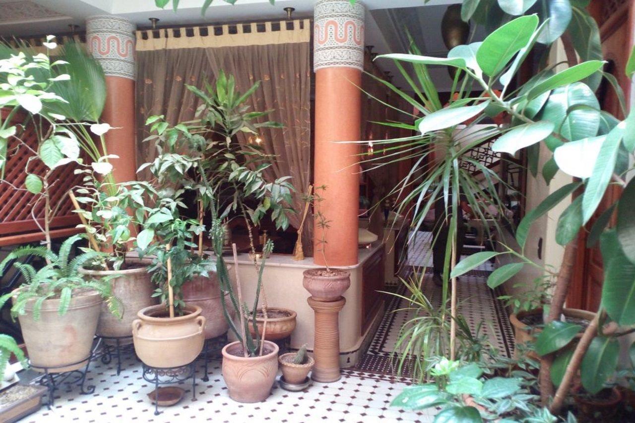 Riad El Wiam Μαρακές Εξωτερικό φωτογραφία
